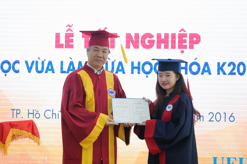 cá cược thể thao hul city